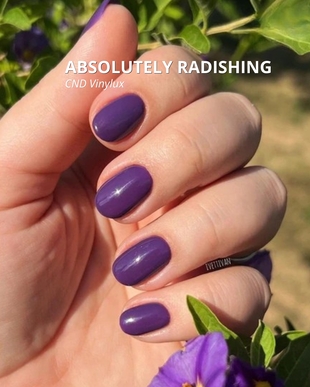 ABSOLUTELY RADISHING